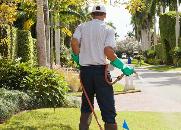 About Piscataway NJ Pest Control Pros